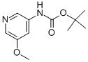 Structure of N-BOC-3-AMINO-5-METHOXYPYRIDINE