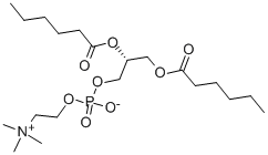 Structure of 1,2-DIHEXANOYL-SN-GLYCERO-3-PHOSPHOCHOLINE