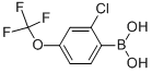 Structure of 2-CHLORO-4-TRIFLUOROMETHOXYBENZENEBORONIC ACID