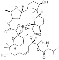 Structure of boromycin