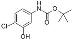 Structure of TERT-BUTYL 4-CHLORO-3-HYDROXYPHENYLCARBAMATE