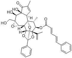 Structure of MEZEREIN