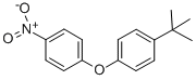Structure of 4-NITRO-4-T-BUTYL DIPHENYL ETHER
