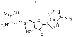 Structure of S-ADENOSYL-L-METHIONINE IODIDE SALT