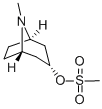 Structure of Tropine-3-mesylate