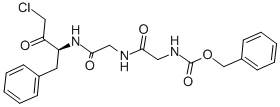 Structure of Z-GLY-GLY-PHE-CHLOROMETHYLKETONE