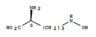 delta-N-hydroxyornithine 的化学结构式