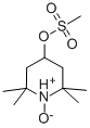2,2,6,6-四甲基-4-(甲基磺氧基)-1-哌啶氧自由基结构式