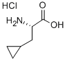 Structure of L-BETA-CYCLOPROPYLALANINE HYDROCHLORIDE