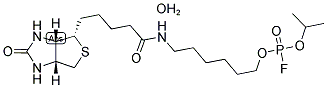Structure of 6-N-BIOTINYLAMINOHEXYL ISOPROPYL PHOSPHOROFLUORIDATE, HEMIHYDRATE