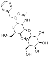Structure of BENZYL 2-ACETAMIDO-2-DEOXY-3-O-BETA-D-GALACTOPYRANOSYL-ALPHA-D-GALACTOPYRANOSIDE