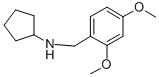 Structure of CYCLOPENTYL-(2,4-DIMETHOXY-BENZYL)-AMINE