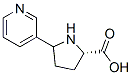 Structure of 5-(3-Pyridyl)proline