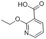 Structure of 2-ETHOXYNICOTINIC ACID