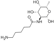 Structure of N-(E-AMINOCAPROYL)-B-L-FUCOPYRANOSYLAMINE