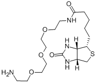 Structure of N-BIOTINYL-3,6,9-TRIOXAUNDECANE-1,11-DIAMINE