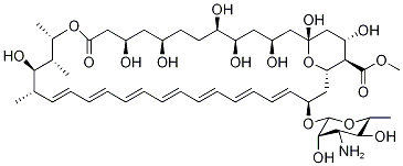 Methylamphotericin B结构式
