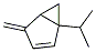 Structure of Bicyclo[3.1.0]hex-2-ene,4-methylene-1-(1-methylethyl)-