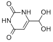 Structure of 6-FORMYL-URACIL MONOHYDRATE