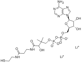3-DEPHOSPHOCOENZYME A结构式