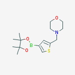 Structure of 4-[[4-(4,4,5,5-tetramethyl-1,3,2-dioxaborolan-2-yl)thiophen-2-yl]methyl]morpholine