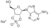 Structure of ADENOSINE-2:3-CYCLIC MONOPHOSPHATE, SODIUM SALT