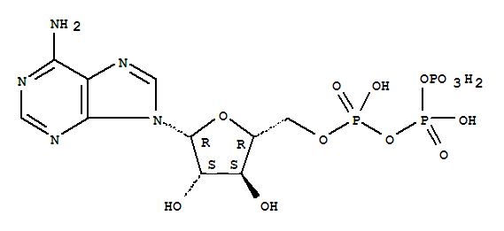 Structure of ara-ATP