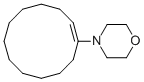 Structure of 1-Morpholinocyclododecene
