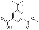 Chemical structure of 5-TERT-BUTYL-ISOPHTHALIC ACID MONOMETHYL ESTER