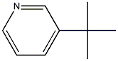 Structure of 3-(tert-Butyl)pyridine