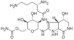 Structure of streptothricin F