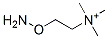 Structure of aminocholine