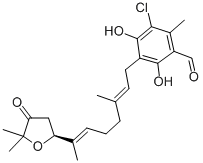 Structure of ascofuranone