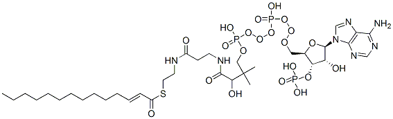 Structure of (2E)-Tetradecenoyl-CoA