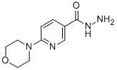 6-MORPHOLINONICOTINOHYDRAZIDE结构式
