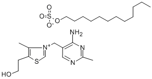 Structure of 3-[(4-Amino-2-methyl-5-pyrimidinyl)methyl]-5-(2-hydroxyethyl)-4-methylthiazolium dodecyl sulfate