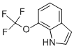 Structure of 7-(Trifluoromethoxy)-1H-indole