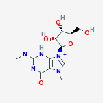 Structure of N(2),N(2),7-trimethylguanosine