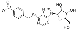 Structure of SE-(P-NITROBENZYL)-6-SELENO-INOSINE