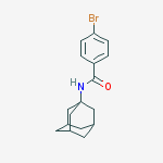 Structure of N-(Adamantan-1-yl)-4-bromobenzamide
