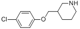 Structure of 3-[(4-CHLOROPHENOXY)METHYL]PIPERIDINE