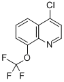 Structure of 4-CHLORO-8-TRIFLUOROMETHOXYQUINOLINE