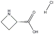 Structure of (S)-Azetidine-2-carboxylic acid hydrochloride
