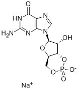 Structure of GUANOSINE 3:5-CYCLIC MONOPHOSPHATE SODIUM SALT