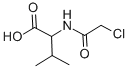 Structure of CHLOROACETYL-DL-VALINE