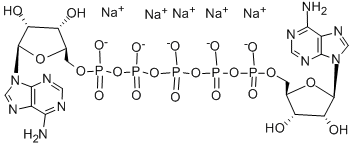 Structure of A[5]P5[5]A SODIUM SALT