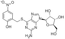 Structure of S-(2-HYDROXY-5-NITROBENZYL)-6-THIOGUANOSINE