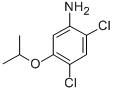 Structure of 2,4-DICHLORO-5-ISOPROPOXYANILINE