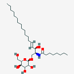 Structure of N-octanoyl-B-D-galactosylceramide