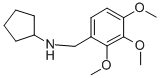Structure of CYCLOPENTYL-(2,3,4-TRIMETHOXY-BENZYL)-AMINE